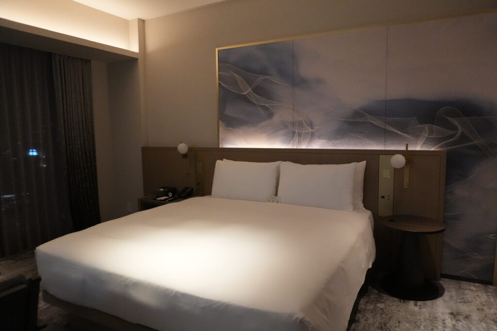 大阪ステージョンホテルのシーニックキング