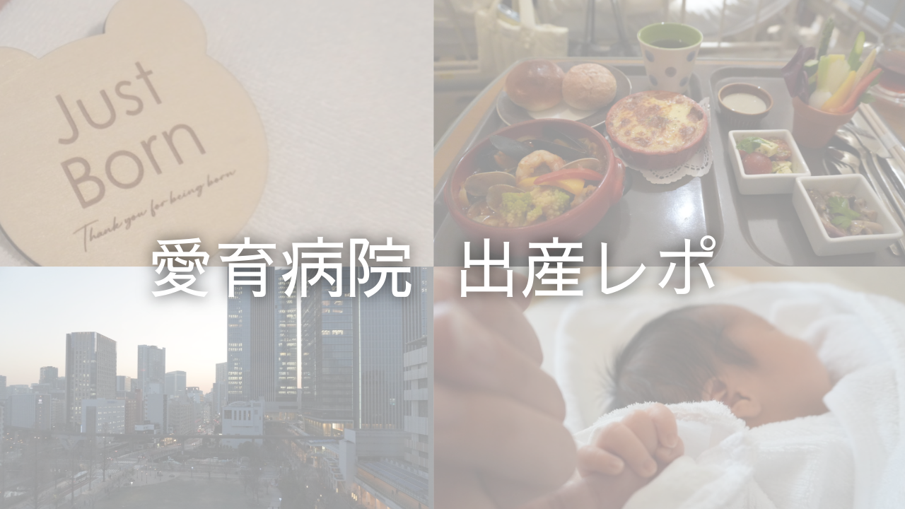 愛育病院の出産レポ